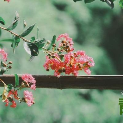 开云集团手机app下载