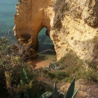 真人斗牛牛最新版app下载