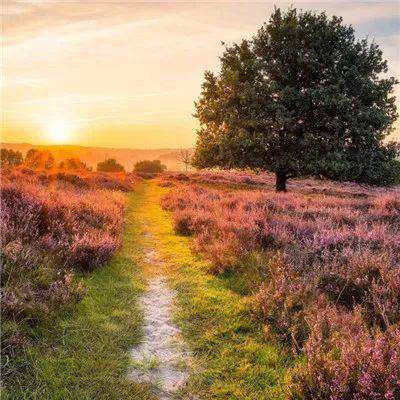 PG电子游戏下载